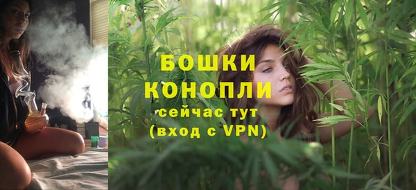 mdpv Костерёво