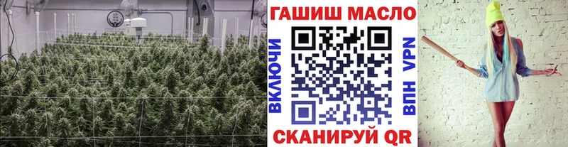 Дистиллят ТГК THC oil Купить где Мурино