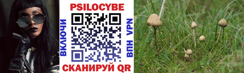 Галлюциногенные грибы Magic Shrooms Мурино